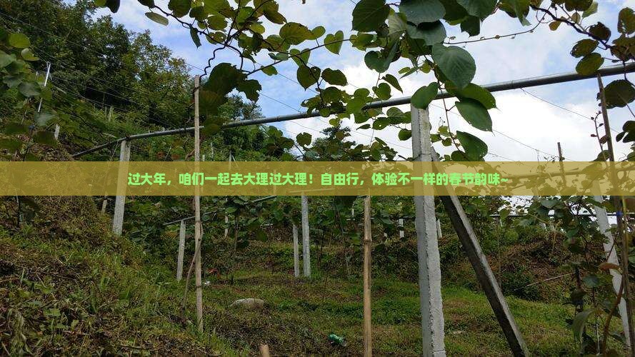 过大年，咱们一起去大理过大理！自由行，体验不一样的春节韵味~