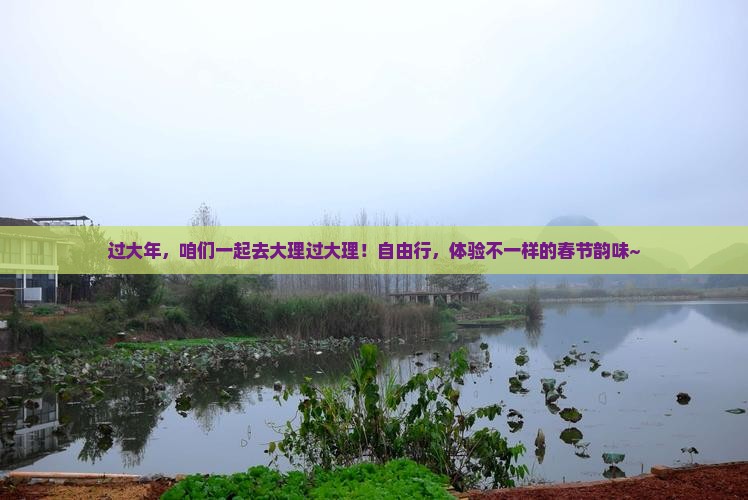 过大年，咱们一起去大理过大理！自由行，体验不一样的春节韵味~