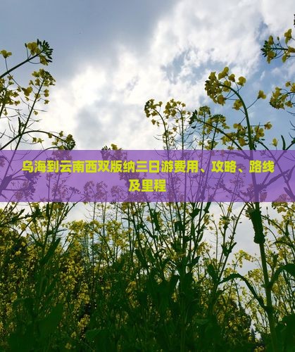 乌海到云南西双版纳三日游费用、攻略、路线及里程