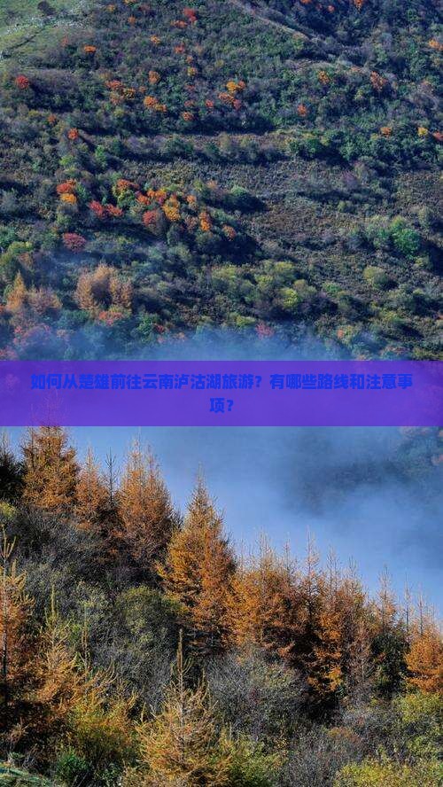 如何从楚雄前往云南泸沽湖旅游？有哪些路线和注意事项？