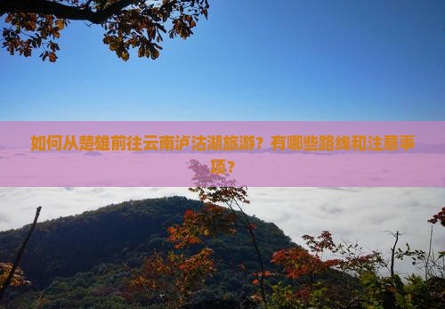 如何从楚雄前往云南泸沽湖旅游？有哪些路线和注意事项？