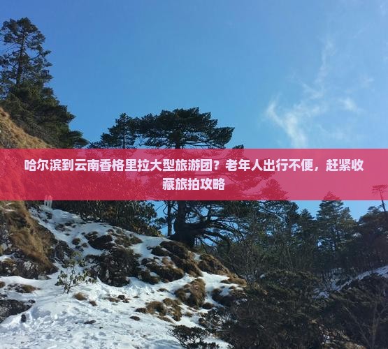 哈尔滨到云南香格里拉大型旅游团？老年人出行不便，赶紧收藏旅拍攻略