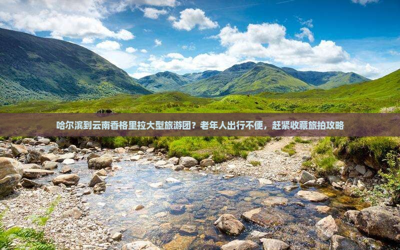 哈尔滨到云南香格里拉大型旅游团？老年人出行不便，赶紧收藏旅拍攻略