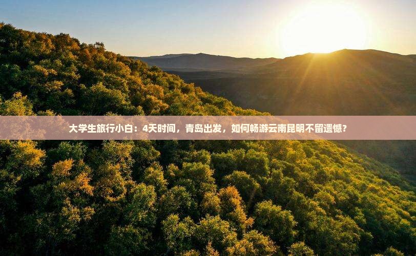 大学生旅行小白：4天时间，青岛出发，如何畅游云南昆明不留遗憾？
