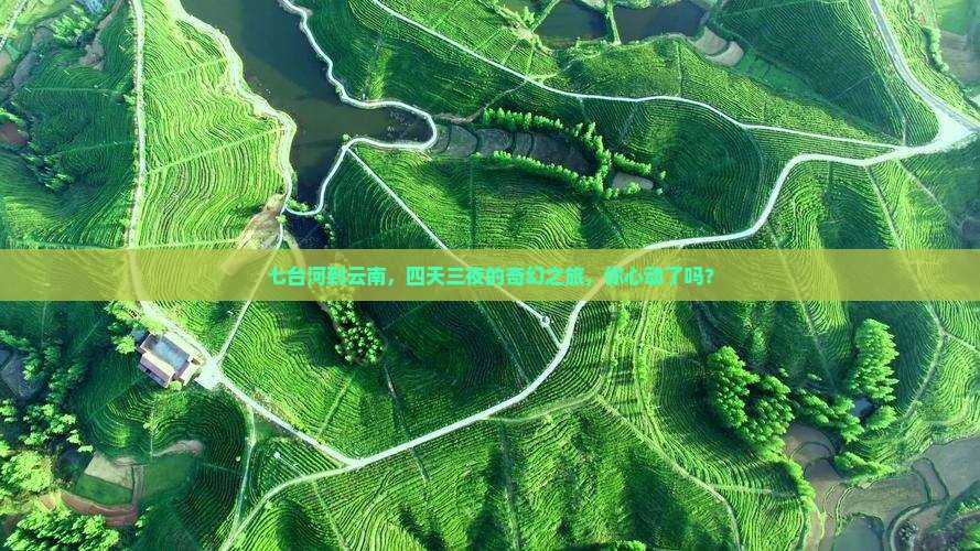 七台河到云南，四天三夜的奇幻之旅，你心动了吗？