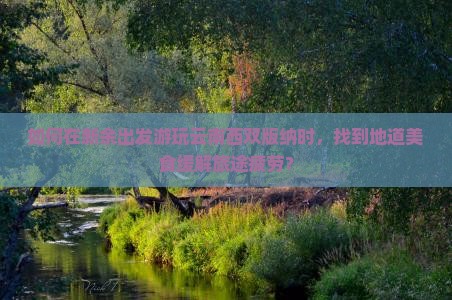 如何在新余出发游玩云南西双版纳时，找到地道美食缓解旅途疲劳？