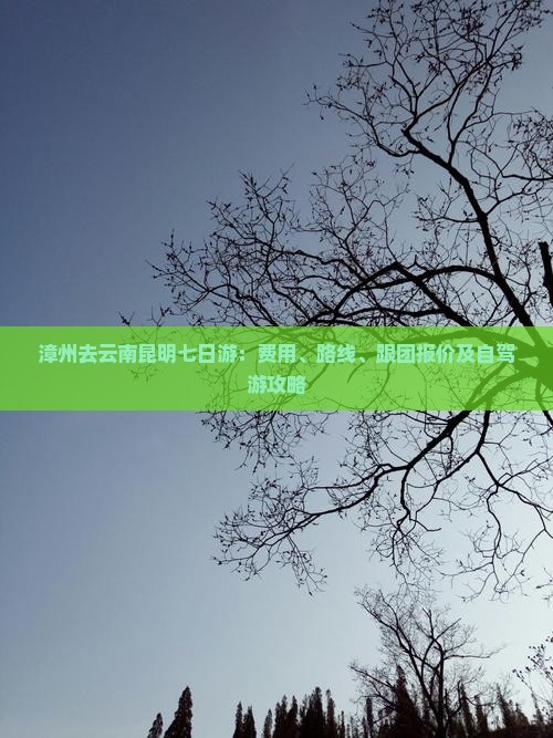 漳州去云南昆明七日游：费用、路线、跟团报价及自驾游攻略