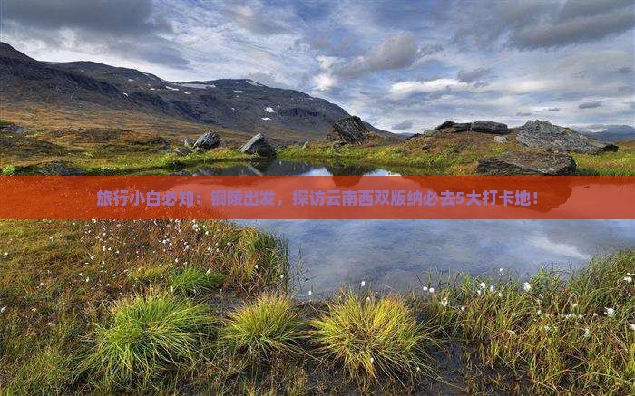 旅行小白必知：铜陵出发，探访云南西双版纳必去5大打卡地！