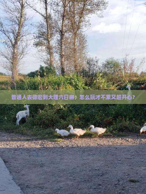 普通人去德宏到大理六日游，怎么玩才不累又超开心？