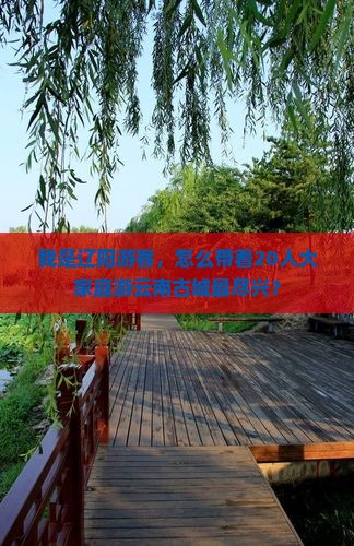 我是辽阳游客，怎么带着20人大家庭游云南古城最尽兴？