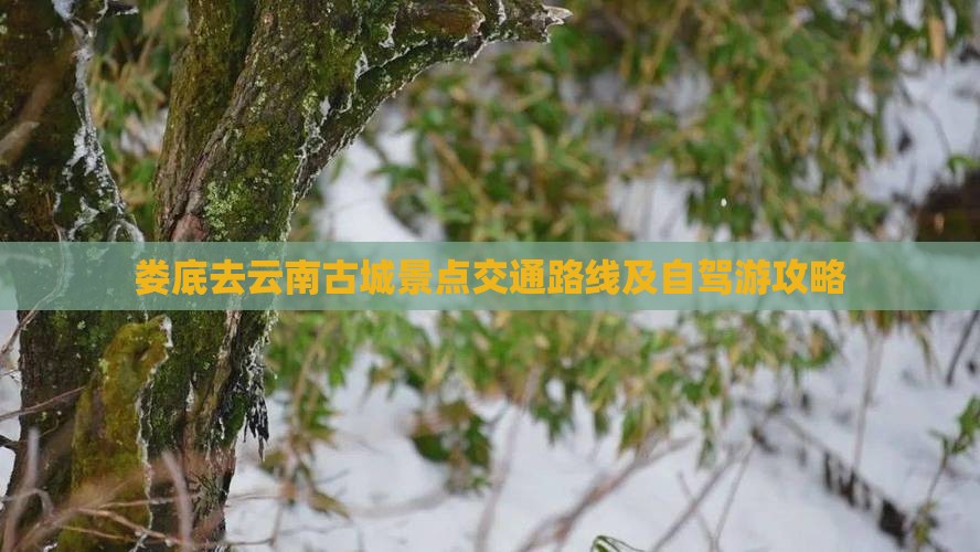 娄底去云南古城景点交通路线及自驾游攻略