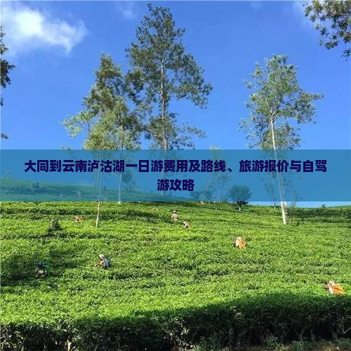 大同到云南泸沽湖一日游费用及路线、旅游报价与自驾游攻略