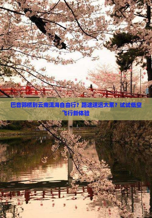 巴音郭楞到云南洱海自由行？路途遥远太累？试试低空飞行新体验