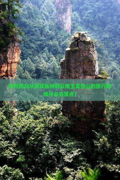 如何规划从西双版纳到云南玉龙雪山的旅行路线与必去景点？