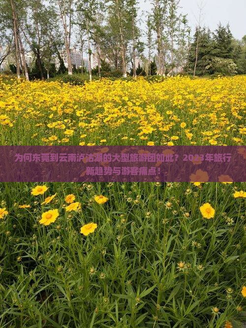 为何东莞到云南泸沽湖的大型旅游团如此？2023年旅行新趋势与游客痛点！