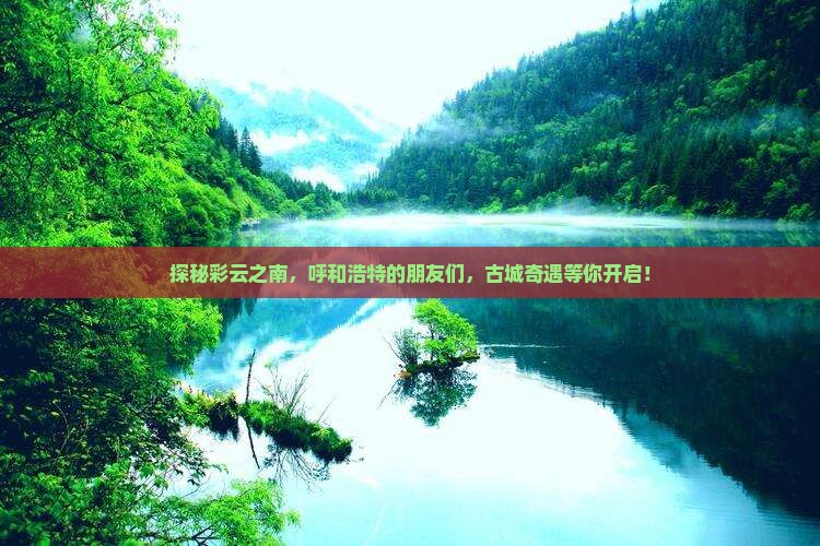 探秘彩云之南，呼和浩特的朋友们，古城奇遇等你开启！