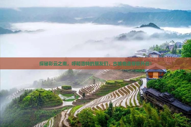 探秘彩云之南，呼和浩特的朋友们，古城奇遇等你开启！