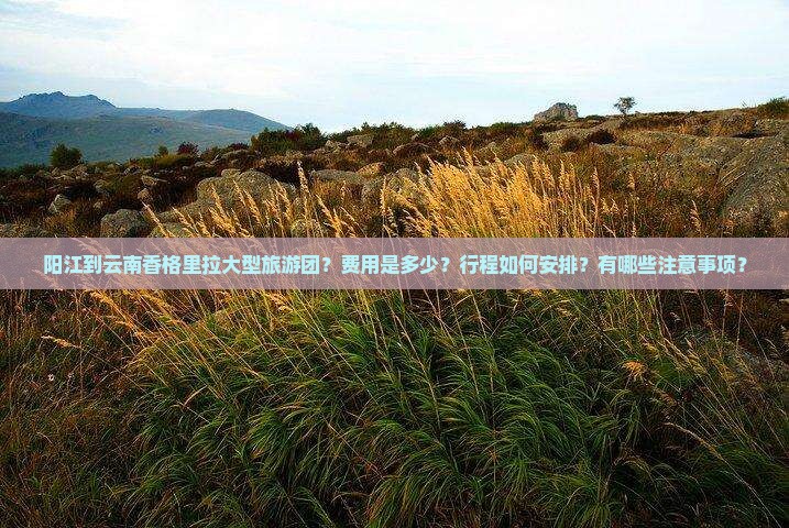 阳江到云南香格里拉大型旅游团？费用是多少？行程如何安排？有哪些注意事项？