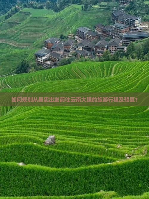 如何规划从吴忠出发前往云南大理的旅游行程及预算？