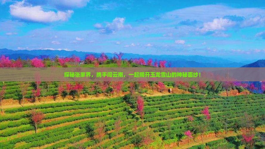 探秘张家界，携手闯云南，一起揭开玉龙雪山的神秘面纱！