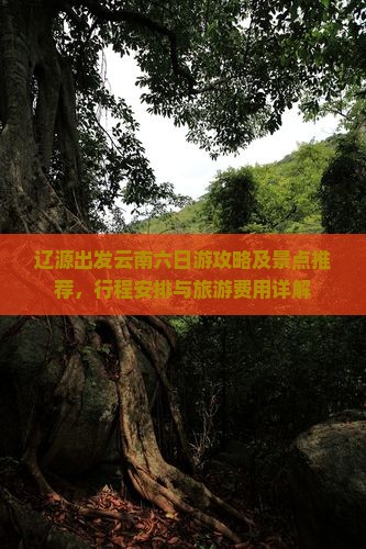 辽源出发云南六日游攻略及景点推荐，行程安排与旅游费用详解
