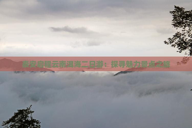 泰安启程云南洱海二日游：探寻魅力景点之旅