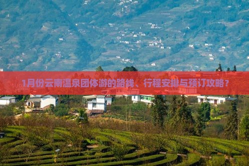 1月份云南温泉团体游的路线、行程安排与预订攻略？