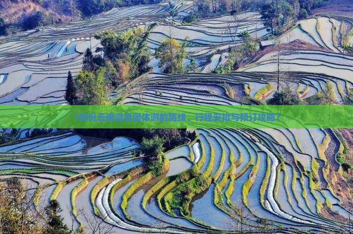 1月份云南温泉团体游的路线、行程安排与预订攻略？