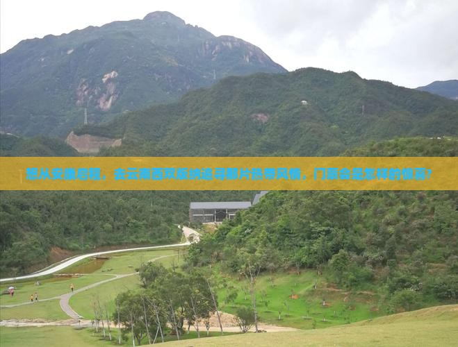 想从安康启程，去云南西双版纳追寻那片热带风情，门票会是怎样的惊喜?