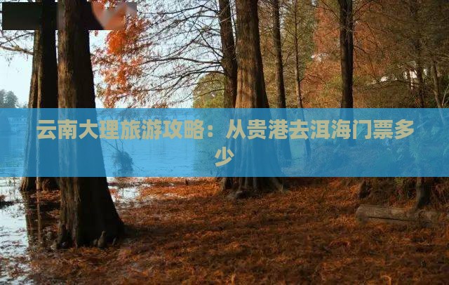 云南大理旅游攻略：从贵港去洱海门票多少