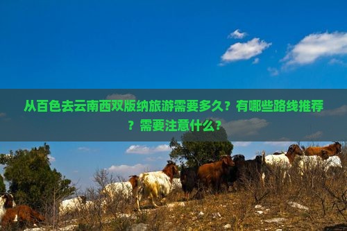 从百色去云南西双版纳旅游需要多久？有哪些路线推荐？需要注意什么？