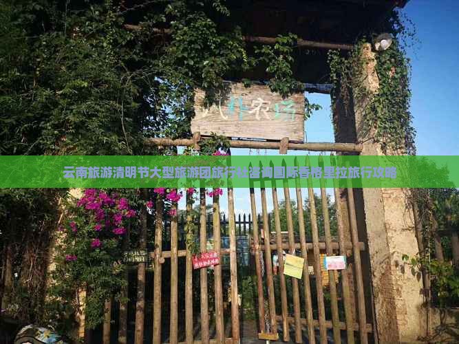 云南旅游清明节大型旅游团旅行社咨询国际香格里拉旅行攻略