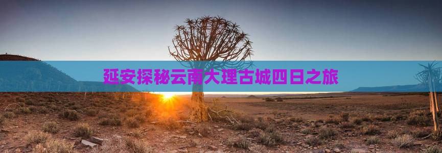 延安探秘云南大理古城四日之旅
