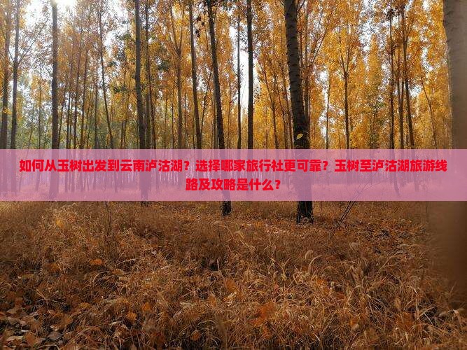 如何从玉树出发到云南泸沽湖？选择哪家旅行社更可靠？玉树至泸沽湖旅游线路及攻略是什么？