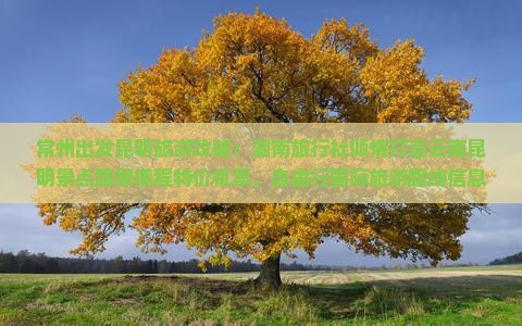 常州出发昆明旅游攻略：湖南旅行社倾情打造云南昆明景点路犀携程特价机票，自由行国际旅游路线信息精选推荐