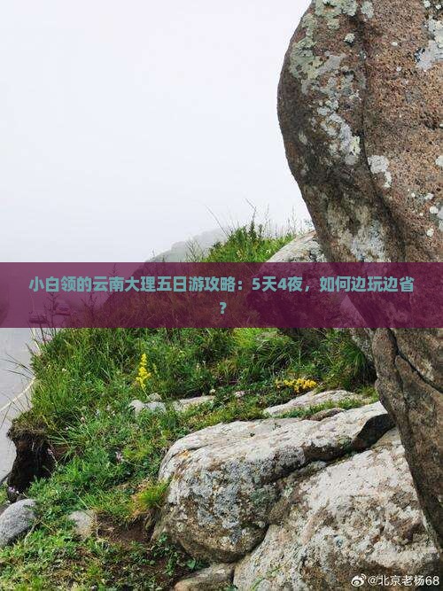 小白领的云南大理五日游攻略：5天4夜，如何边玩边省？