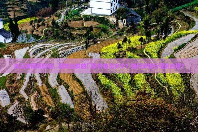 去云南昆明旅游，晋城出发的门票价格是多少？如何安排行程更合理？