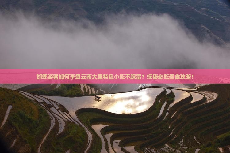 邯郸游客如何享受云南大理特色小吃不踩雷？探秘必吃美食攻略！