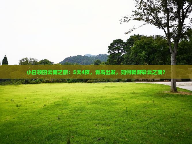 小白领的云南之旅：5天4夜，青岛出发，如何畅游彩云之南？