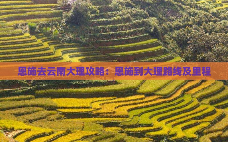 恩施去云南大理攻略：恩施到大理路线及里程