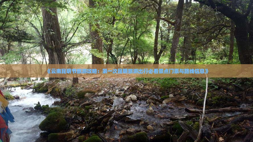《云南昆明节旅游攻略：第一次昆明旅游出行必看景点门票与路线信息》