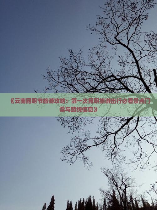 《云南昆明节旅游攻略：第一次昆明旅游出行必看景点门票与路线信息》