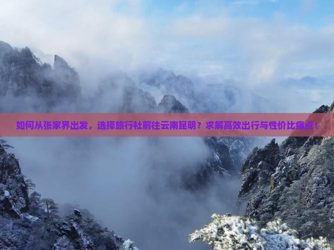 如何从张家界出发，选择旅行社前往云南昆明？求解高效出行与性价比痛点！