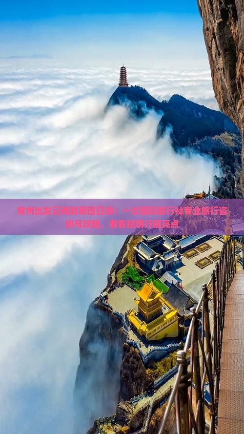 常州出发云南昆明四日游：一次国际旅行社专业旅行咨询与攻略，看看昆明行程亮点