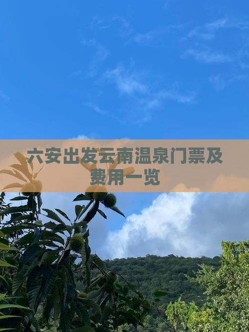 六安出发云南温泉门票及费用一览