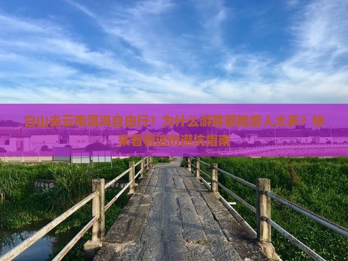 白山去云南洱海自由行？为什么游客都抱怨人太多？快来看看这份避坑指南