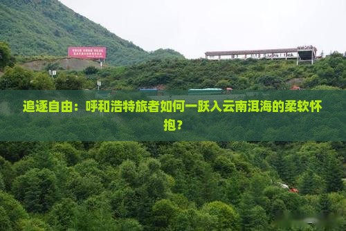 追逐自由：呼和浩特旅者如何一跃入云南洱海的柔软怀抱？
