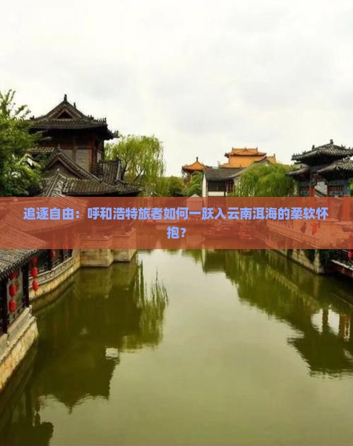 追逐自由：呼和浩特旅者如何一跃入云南洱海的柔软怀抱？