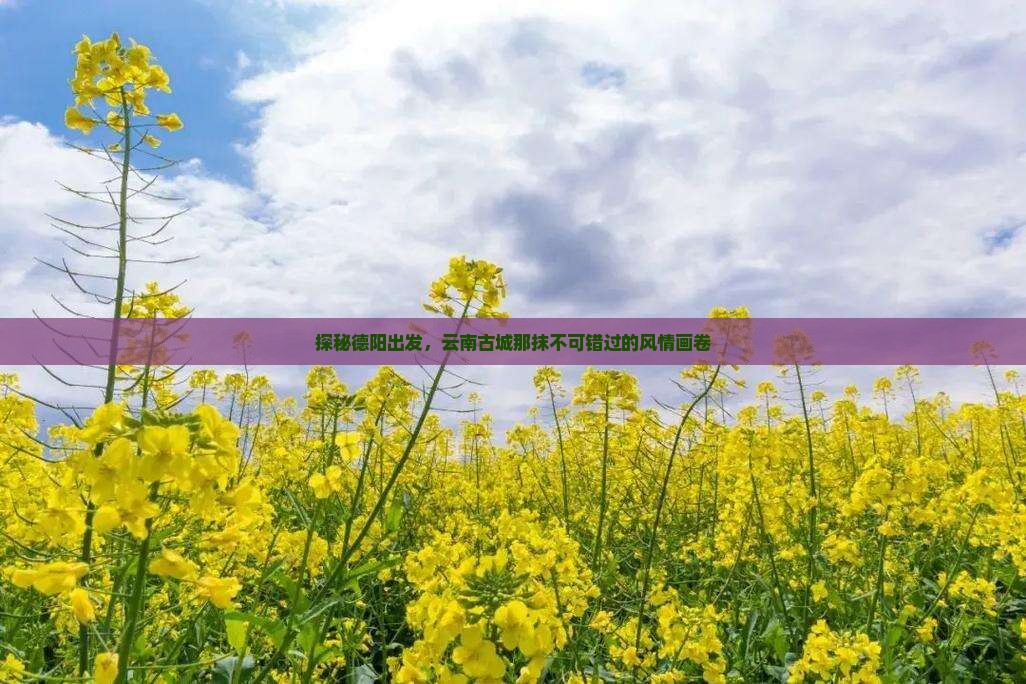 探秘德阳出发，云南古城那抹不可错过的风情画卷