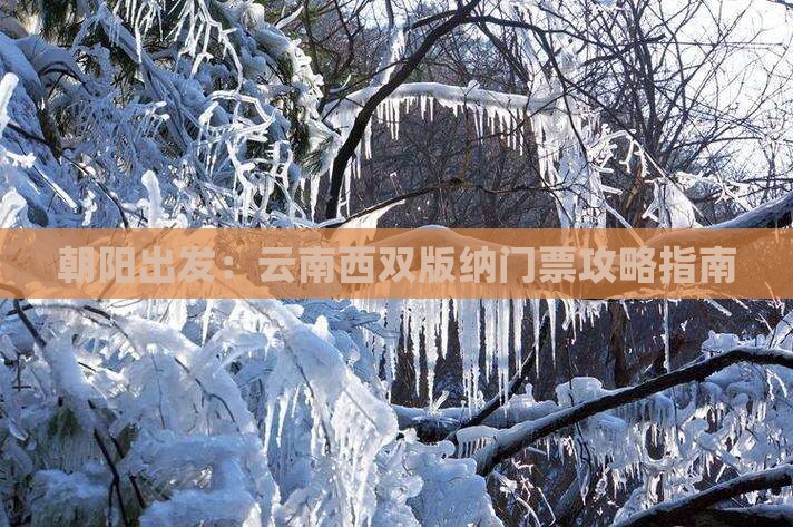 朝阳出发：云南西双版纳门票攻略指南